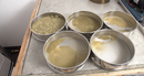 Stainless Steel Sieve Shaker